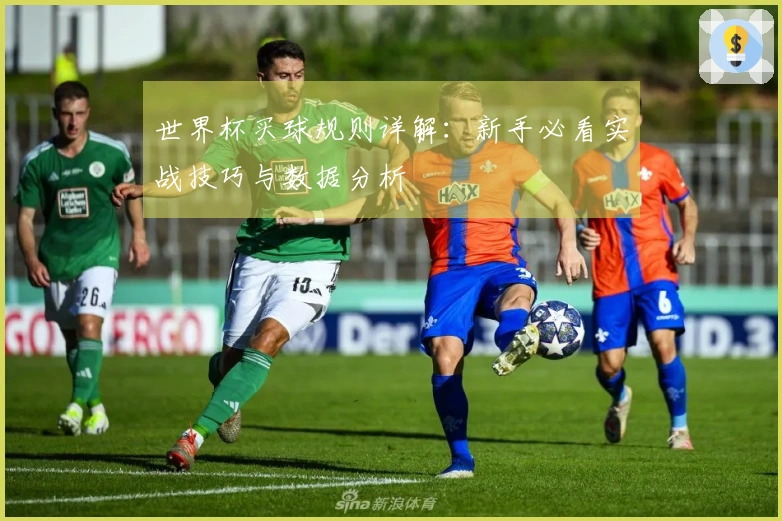 世界杯买球规则详解：新手必看实战技巧与数据分析