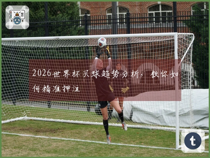 2026世界杯买球趋势分析，教你如何精准押注