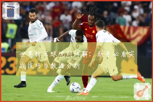 世界杯买球规则详解：新手必看实战技巧与数据分析