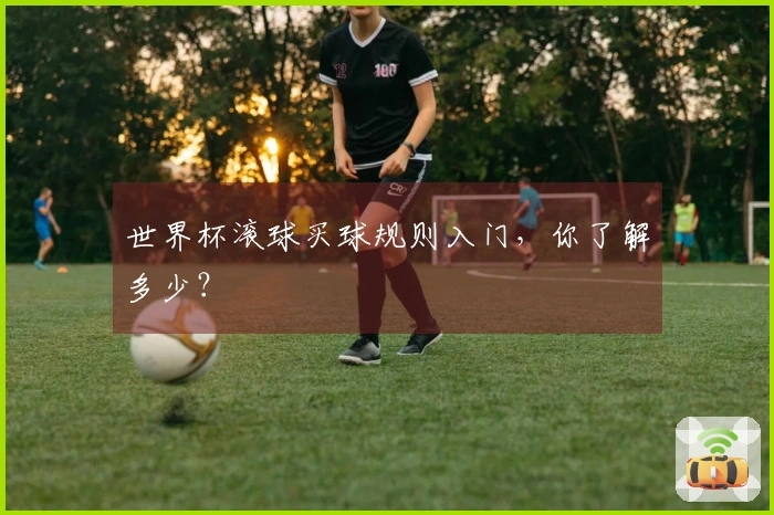 世界杯滚球买球规则入门，你了解多少？