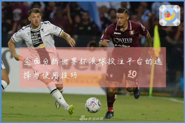 全面分析世界杯滚球投注平台的选择与使用技巧