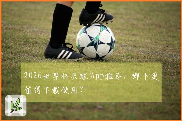 2026世界杯买球 App推荐，哪个更值得下载使用？