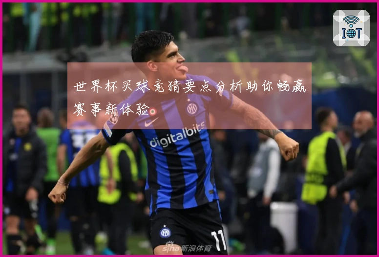 世界杯买球竞猜要点分析助你畅赢赛事新体验