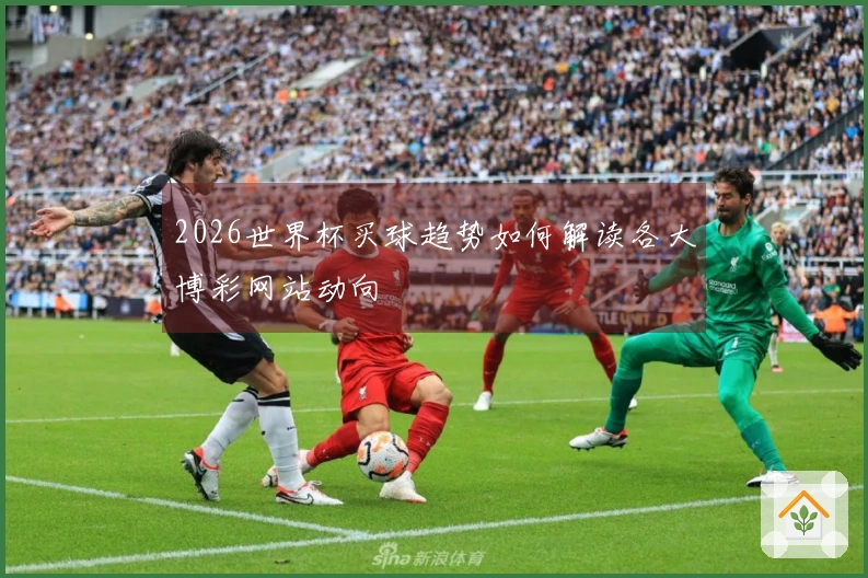 2026世界杯买球趋势如何解读各大博彩网站动向
