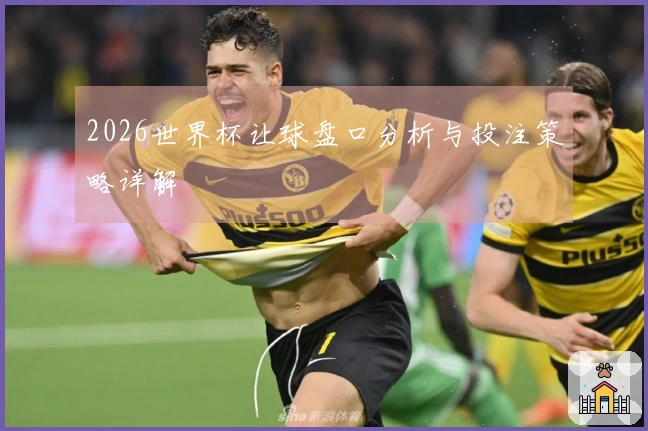 2026世界杯让球盘口分析与投注策略详解