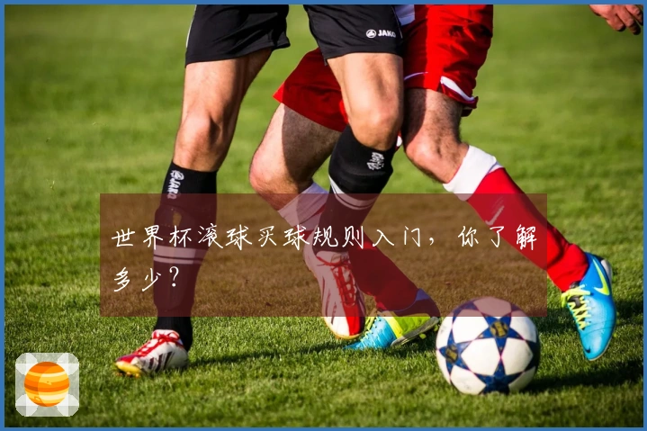 世界杯滚球买球规则入门，你了解多少？