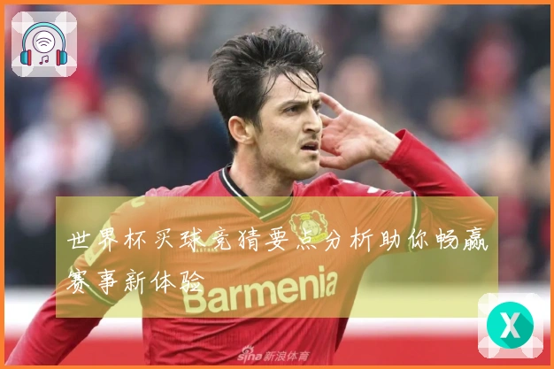 世界杯买球竞猜要点分析助你畅赢赛事新体验