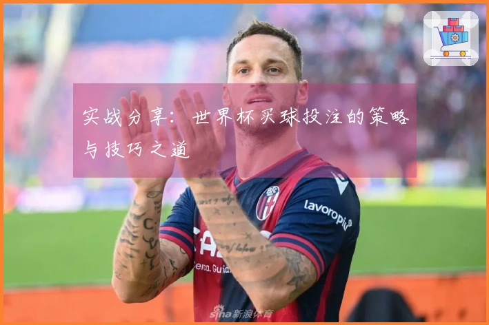 实战分享：世界杯买球投注的策略与技巧之道